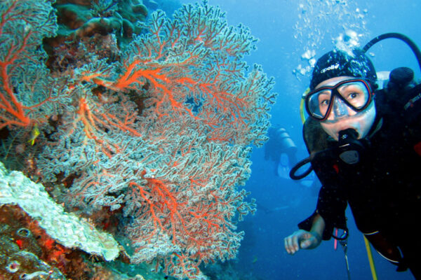 4D3N Semporna Fun Diving Trip