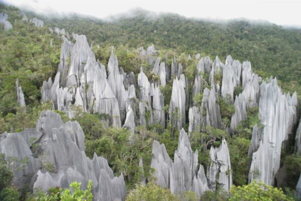 3D2N Discover Mulu Cave