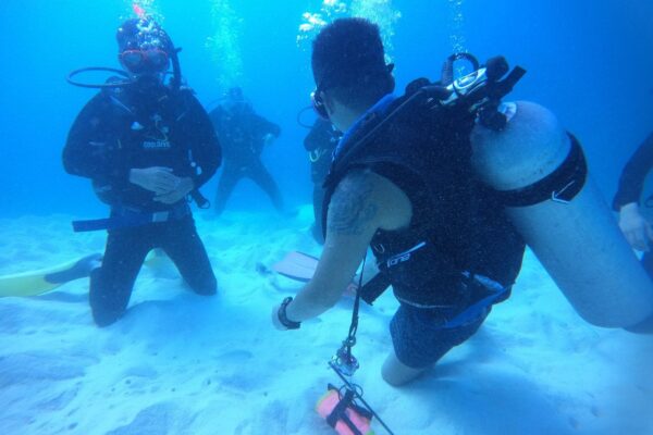 Padi Freediver Course