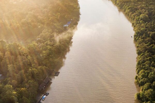 2D1N Sepilok & Kinabatangan River