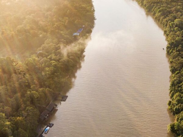 2D1N Sepilok & Kinabatangan River