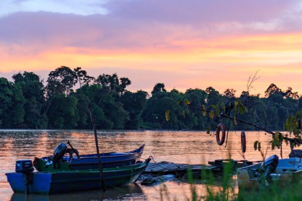 Sabah Kinabatangan River Cruise
