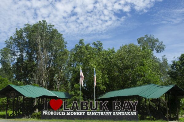 Labuk Bay Sanctuary Half Day Tour
