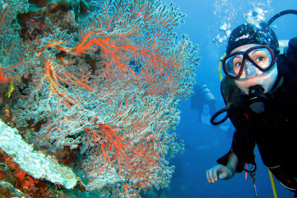 6D5N Open Water & Advanced Open Water Course