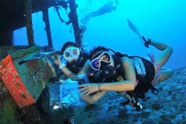 4D3N Semporna Open Water/advanced Open Water