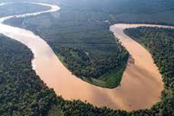 Sepilok Orang Utan, Sun Bear, Labuk Bay River Cruise Day Tour