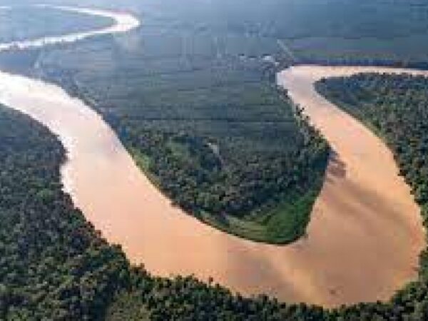 Sepilok Orang Utan, Sun Bear, Labuk Bay River Cruise Day Tour