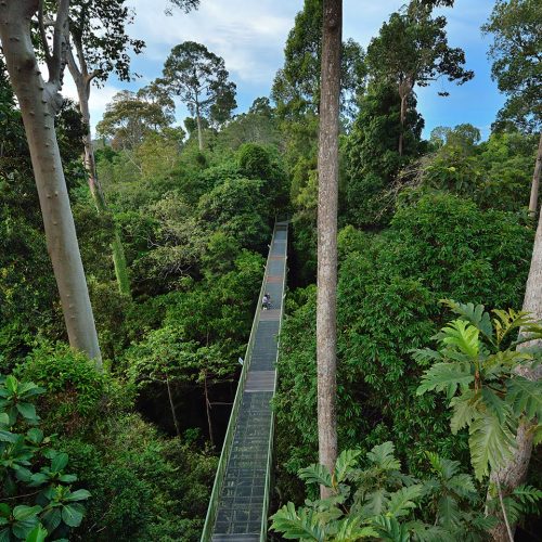 Sabah-Travel-Agency-3